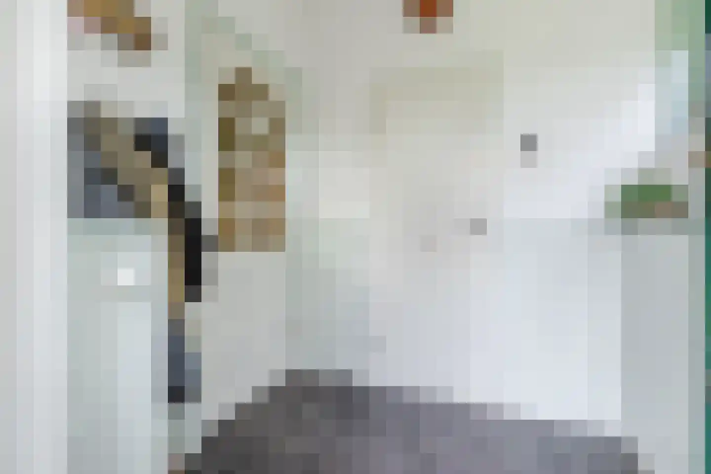 Ruurloseweg 93 Vorden thumbnail 9