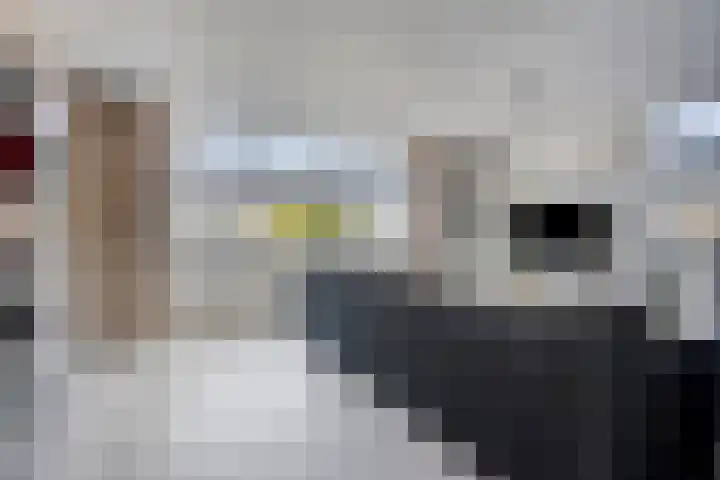 Ruurlostraat 2 Tilburg thumbnail 12