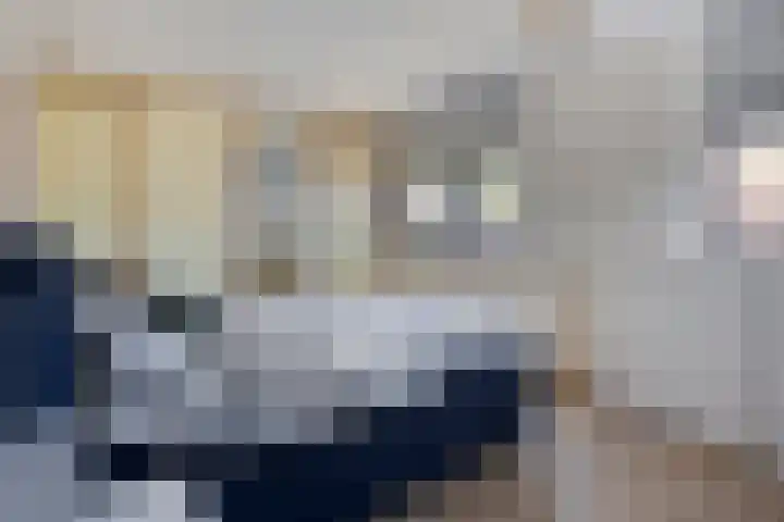 Ruurlostraat 2 Tilburg thumbnail 22