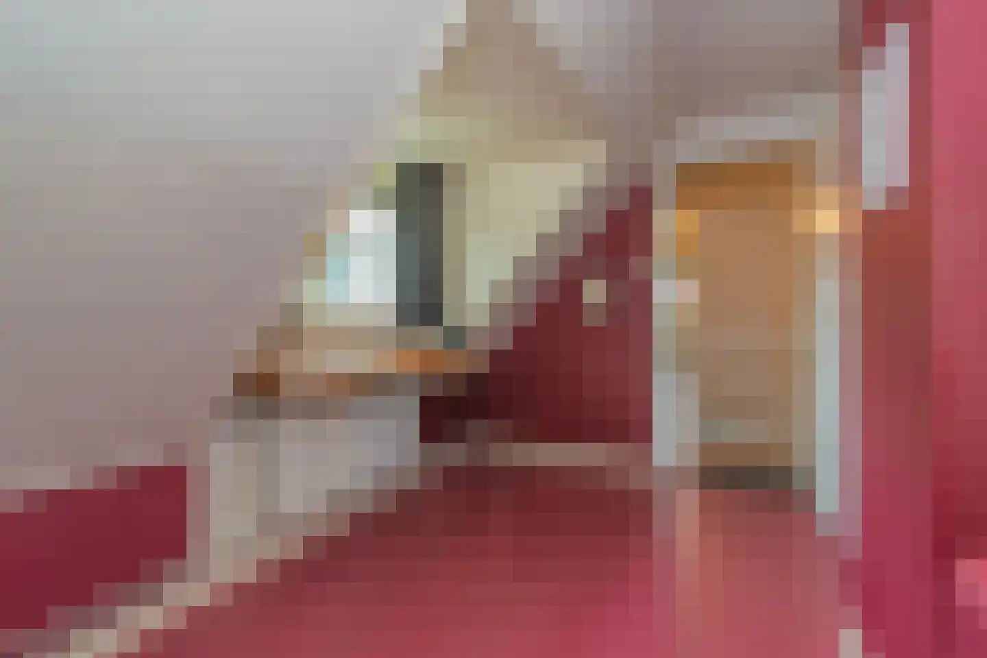 Ruurlostraat 33 Eindhoven thumbnail 18