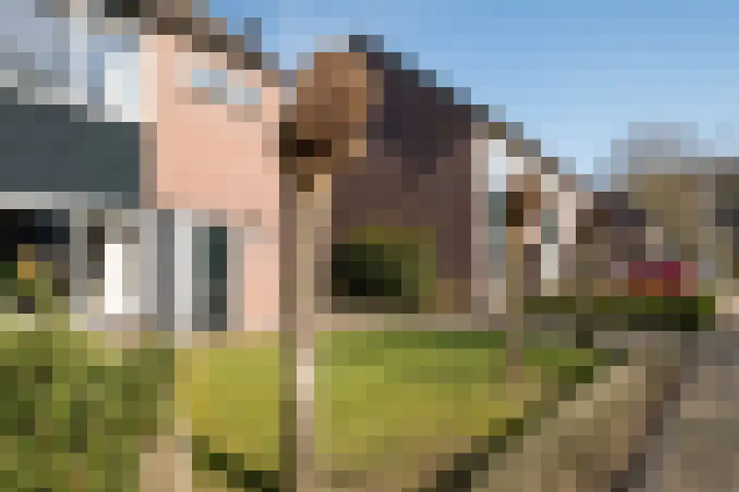 Ruurstraat 23 Hengevelde thumbnail 5