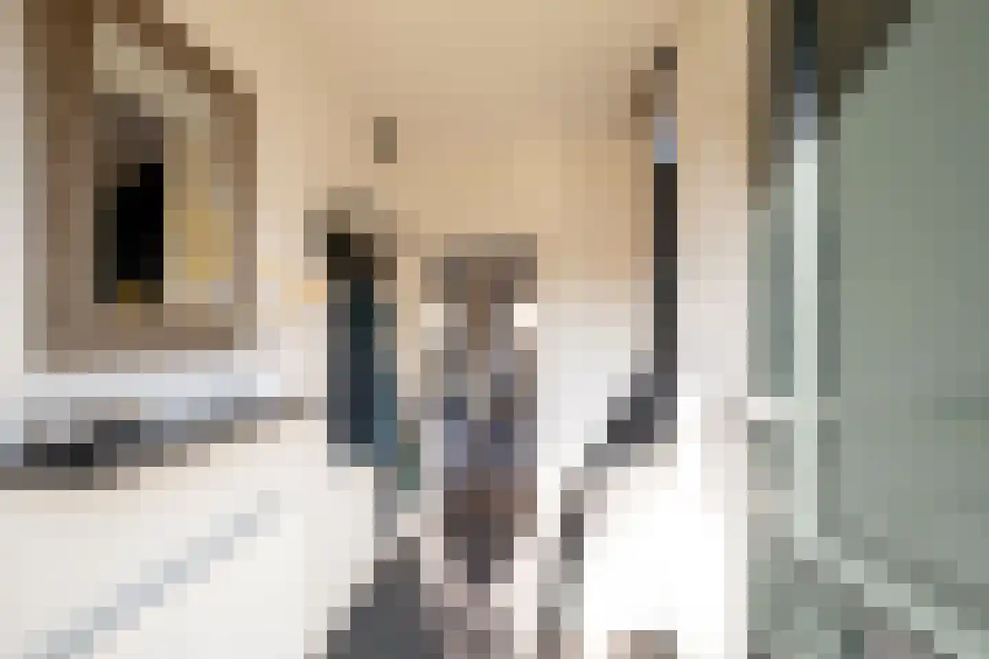 Ruurstraat 23 Hengevelde thumbnail 7