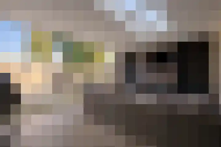 Ruusbroecgaarde 107 Oss thumbnail 16