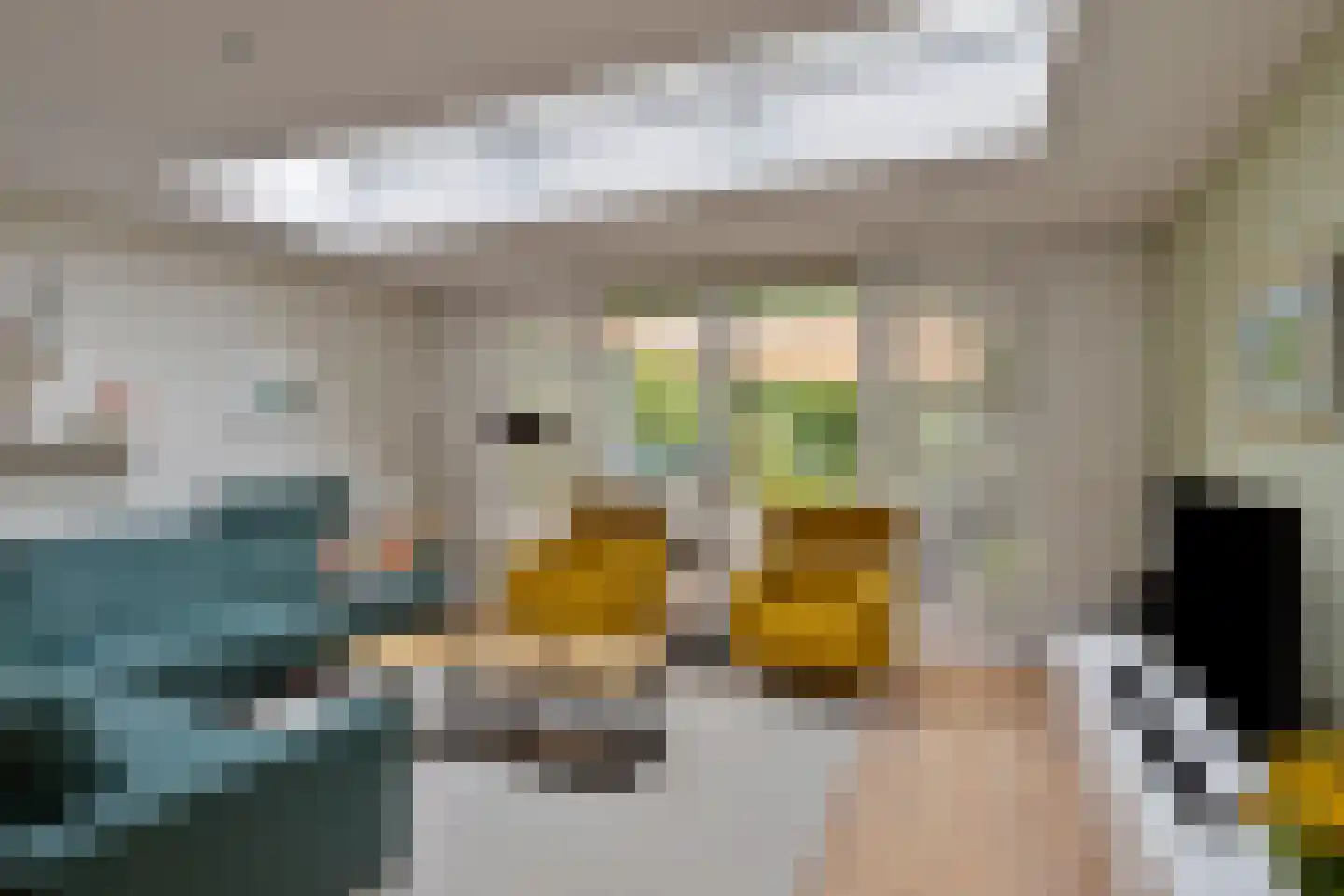Ruusbroecgaarde 123 Oss thumbnail 10