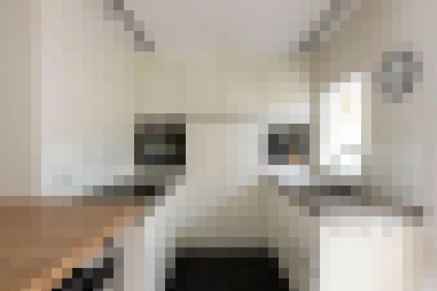 Ruusbroecgaarde 123 Oss thumbnail 16
