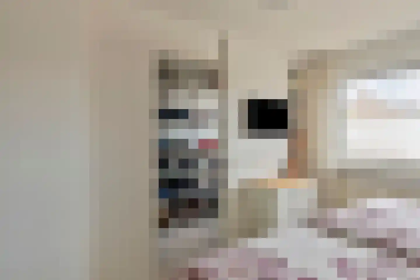 Ruusbroecgaarde 123 Oss thumbnail 24