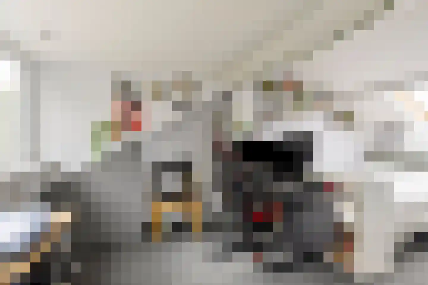 Ruusbroecgaarde 123 Oss thumbnail 33