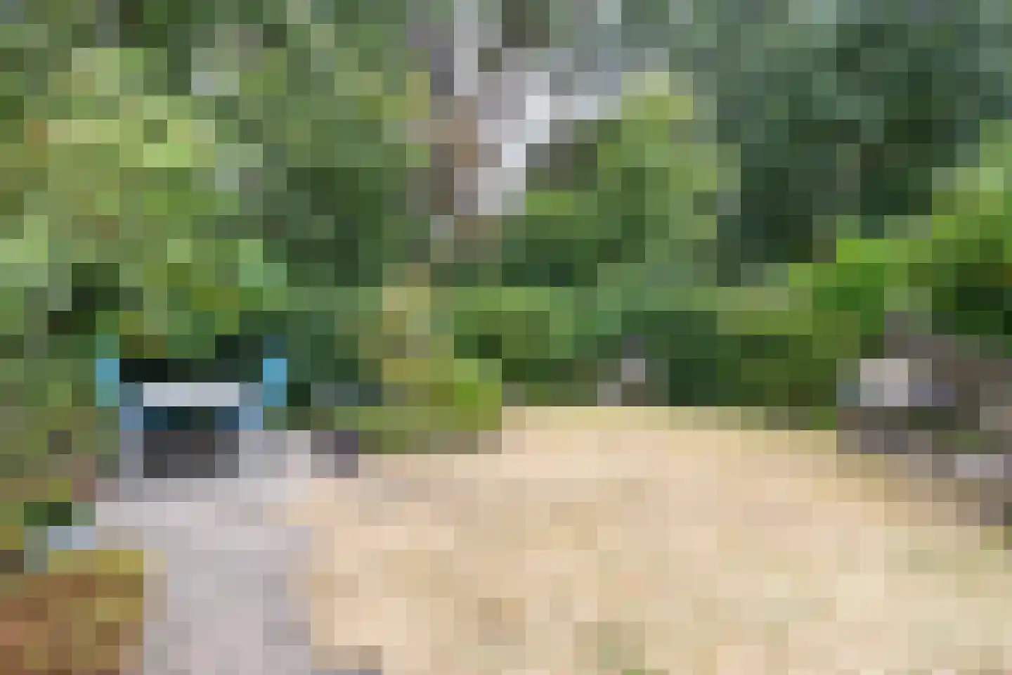 Ruusbroecgaarde 123 Oss thumbnail 38