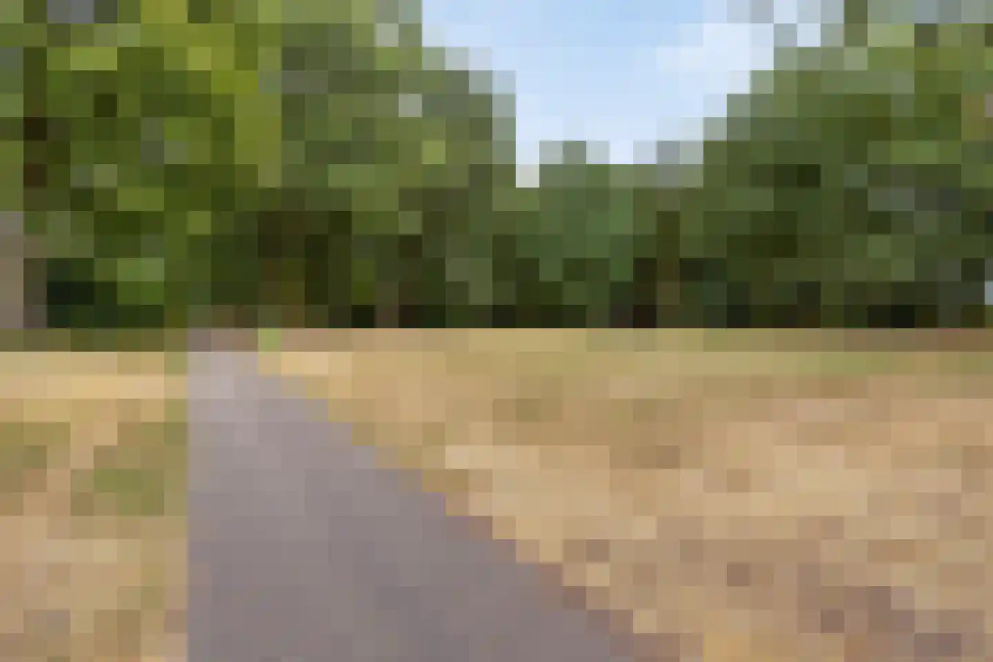 Ruusbroecgaarde 123 Oss thumbnail 43