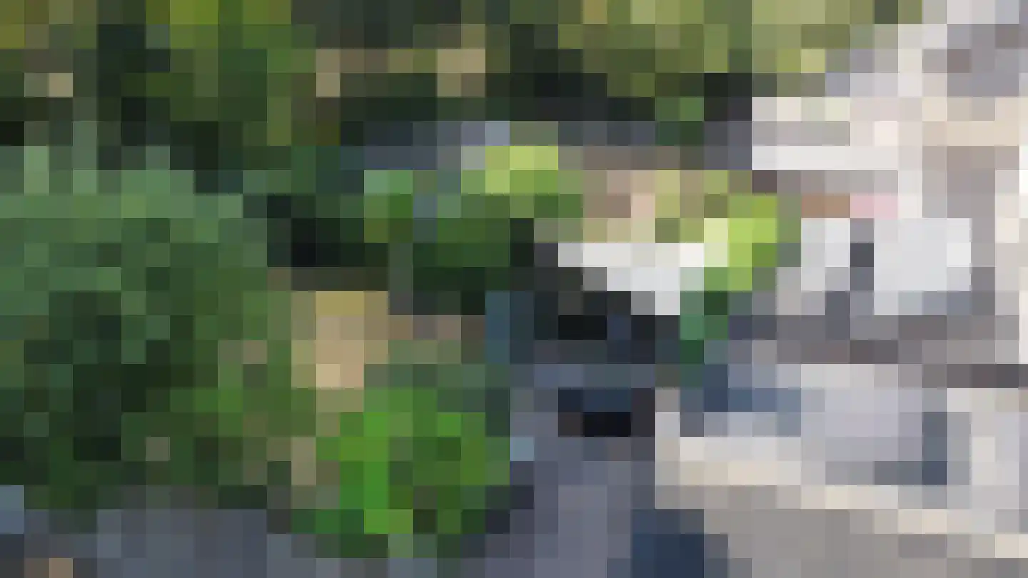 Ruusbroecgaarde 123 Oss thumbnail 45