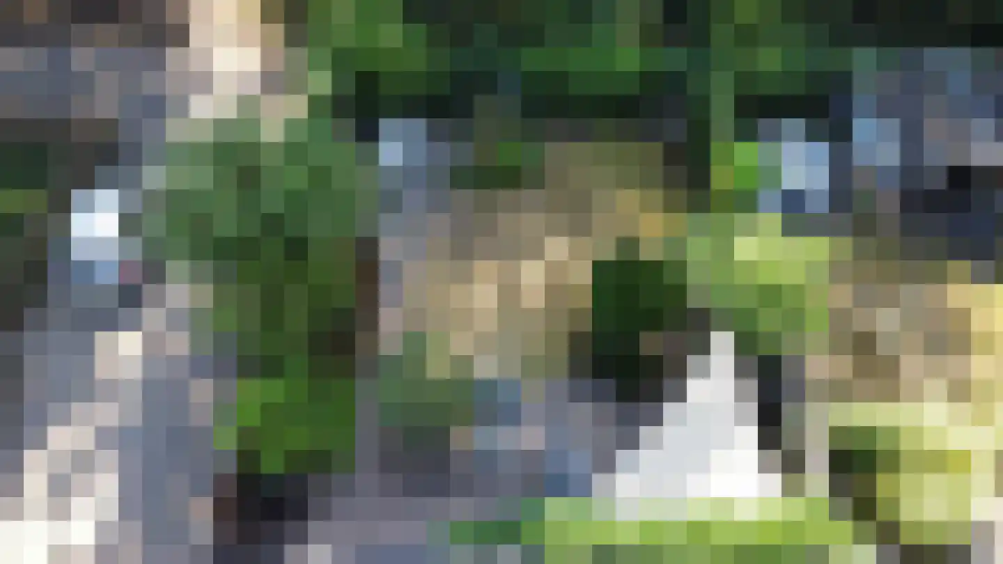 Ruusbroecgaarde 123 Oss thumbnail 46