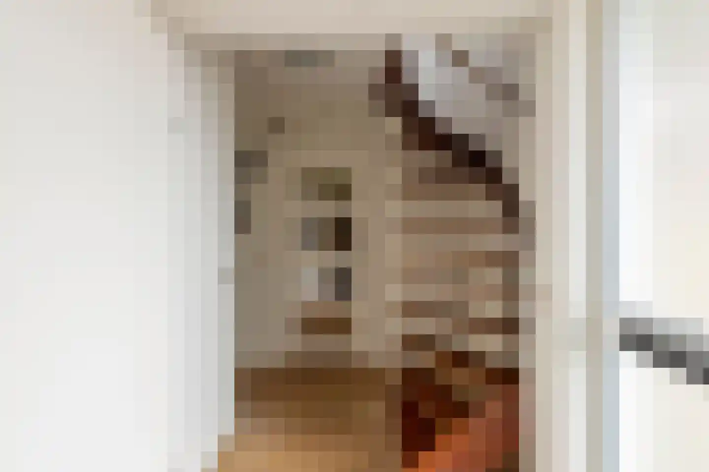 Ruusbroecgaarde 123 Oss thumbnail 7