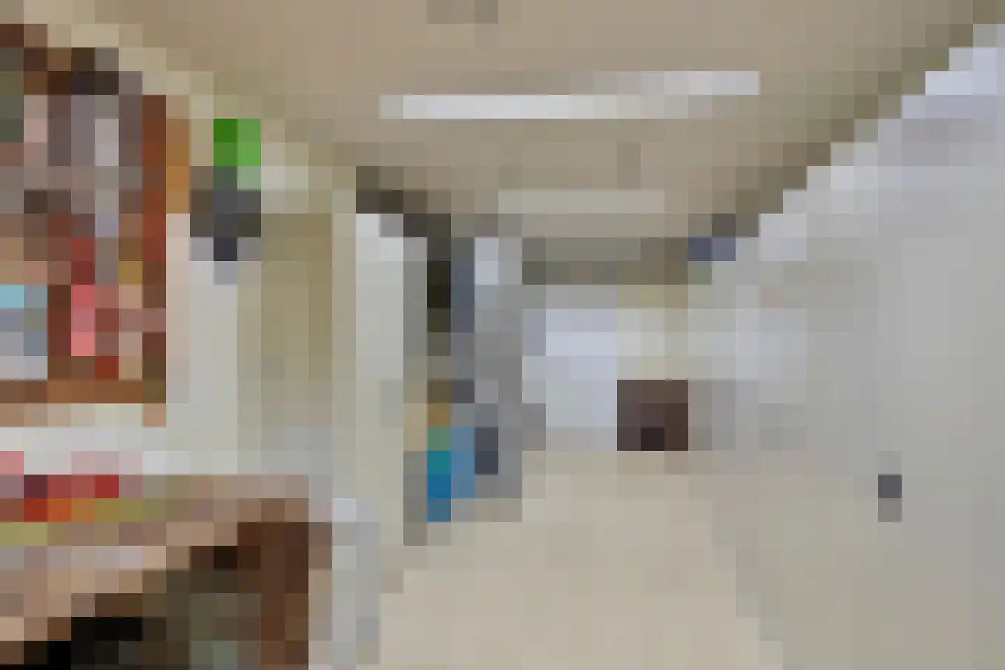 Ruusbroecgaarde 123 Oss thumbnail 8