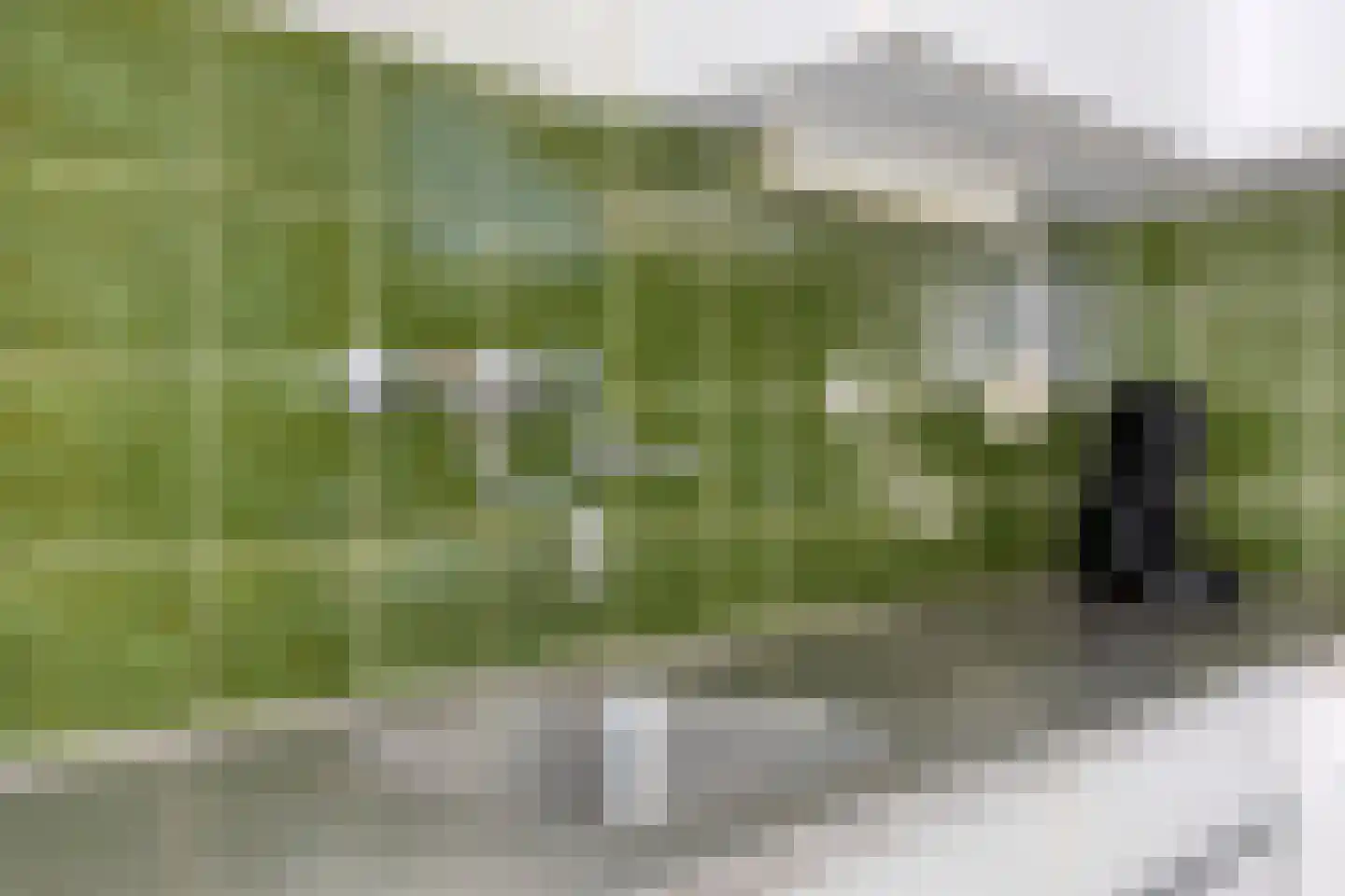 Ruusbroecgaarde 131 Oss thumbnail 15