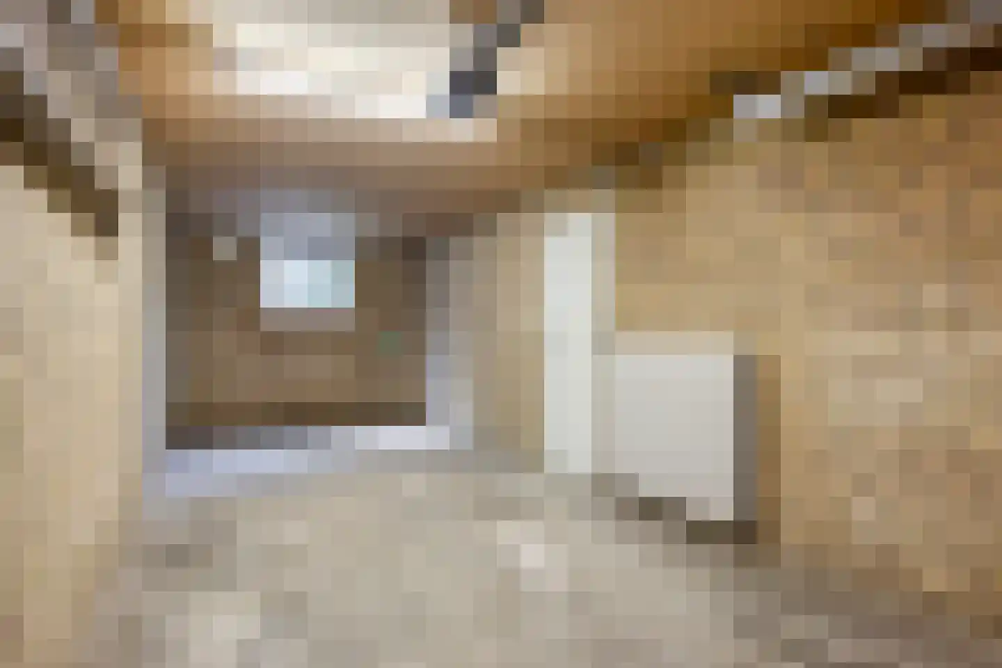 Ruusbroecgaarde 131 Oss thumbnail 22