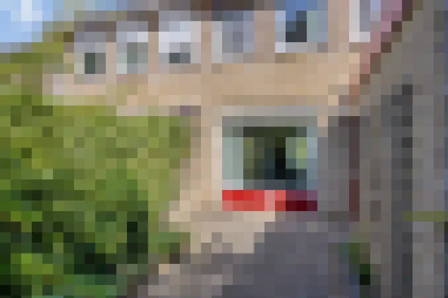 Ruusbroecgaarde 131 Oss thumbnail 23