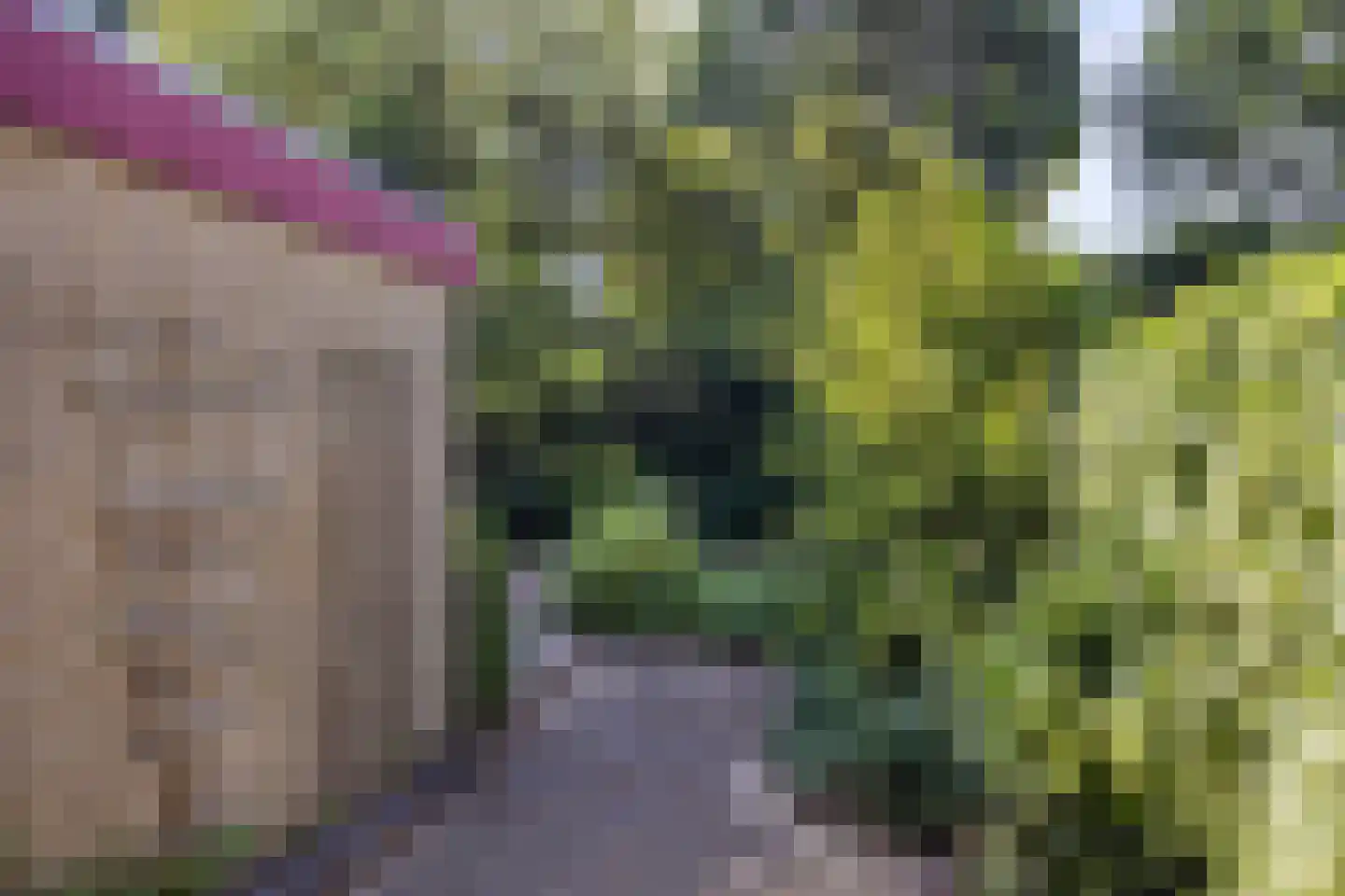 Ruusbroecgaarde 131 Oss thumbnail 24