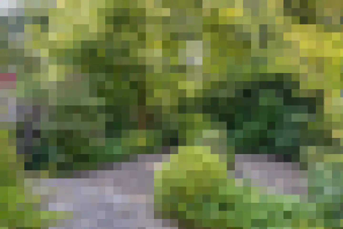 Ruusbroecgaarde 131 Oss thumbnail 27