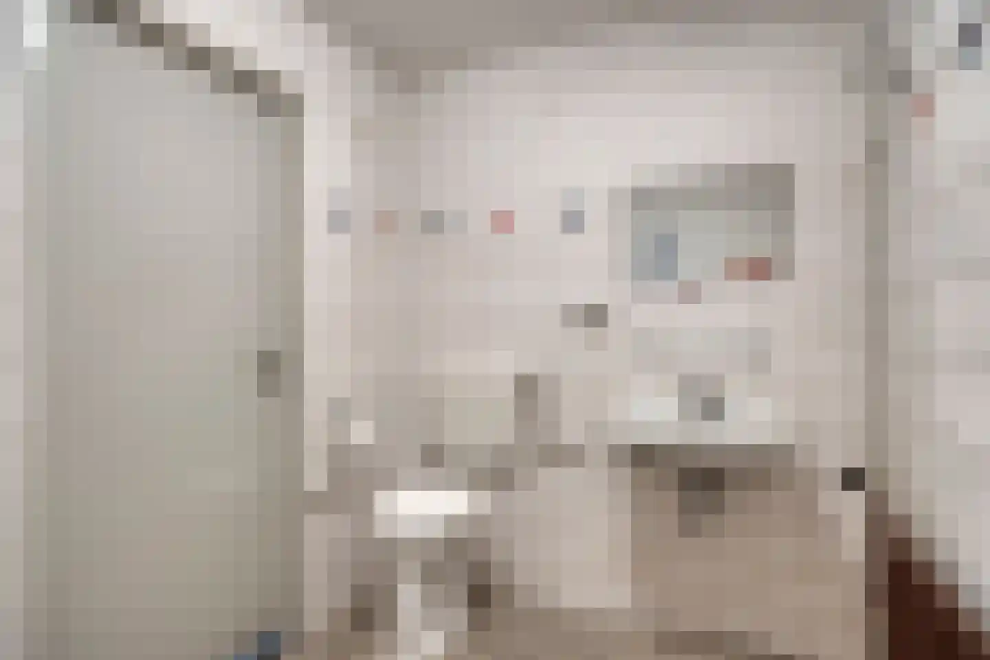 Ruusbroecgaarde 131 Oss thumbnail 37