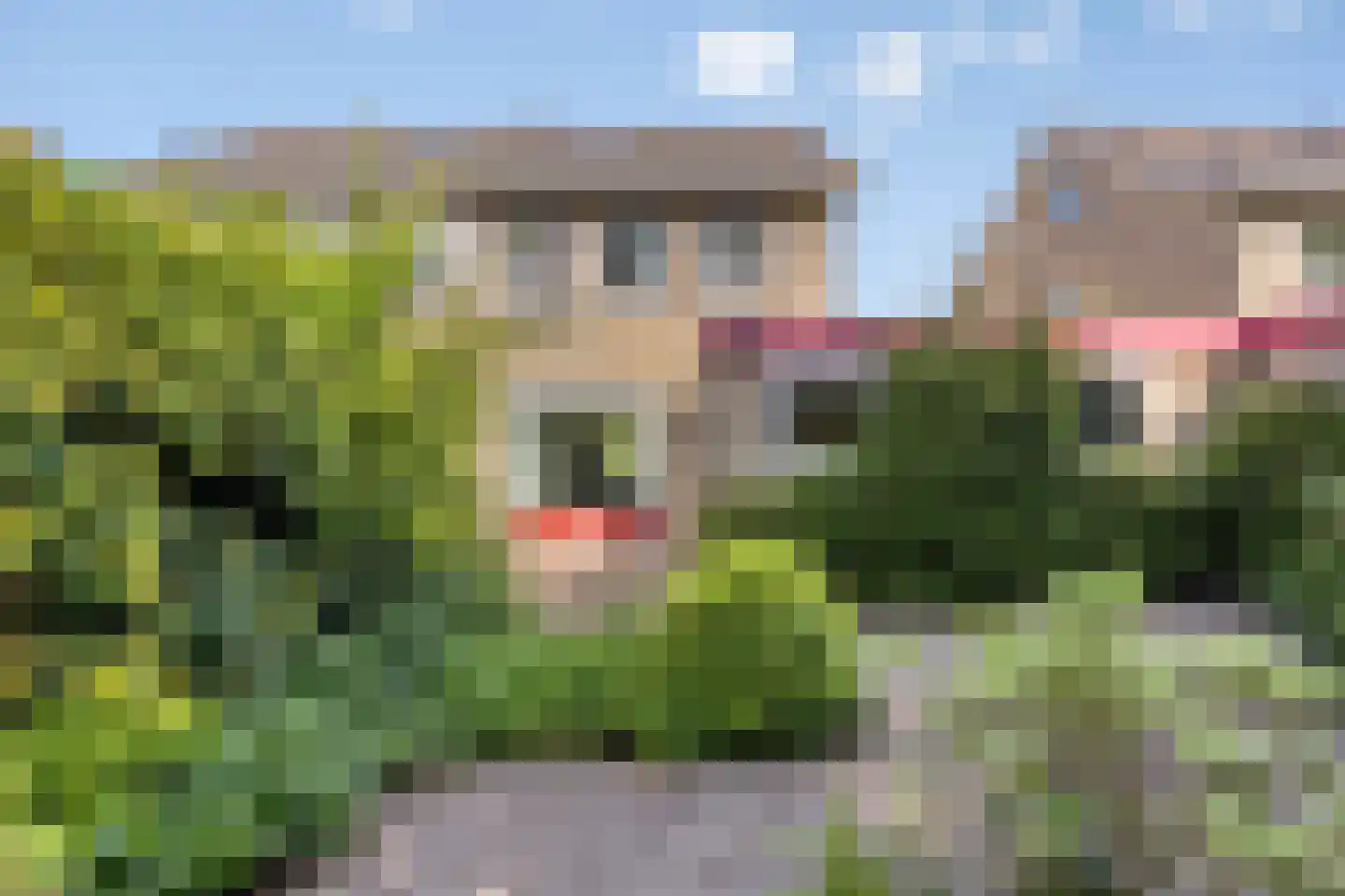 Ruusbroecgaarde 131 Oss thumbnail 4