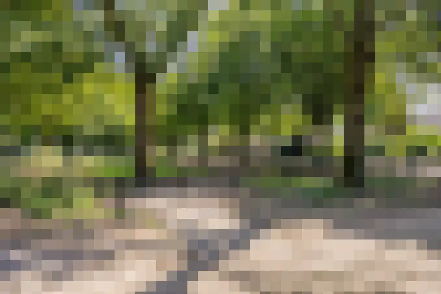 Ruusbroecgaarde 131 Oss thumbnail 52