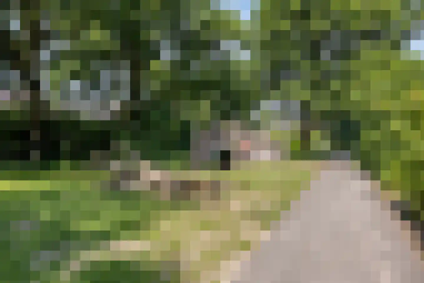 Ruusbroecgaarde 131 Oss thumbnail 53