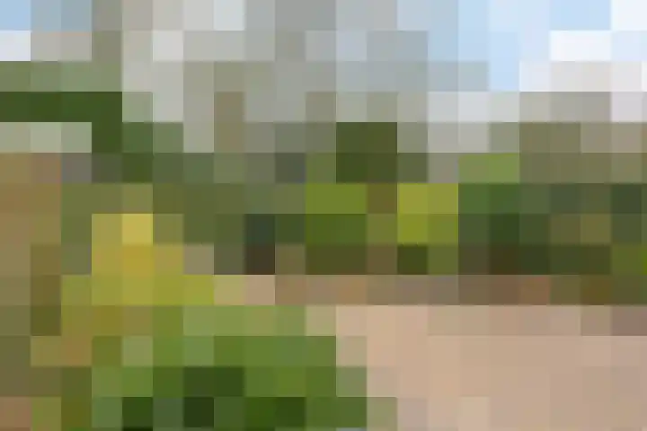Ruusbroecgaarde 143 Oss thumbnail 38