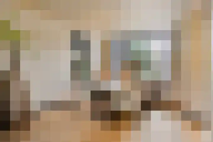 Ruusbroecgaarde 153 Oss thumbnail 10