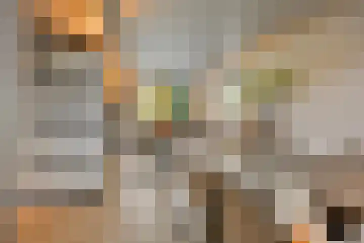 Ruusbroecgaarde 153 Oss thumbnail 11