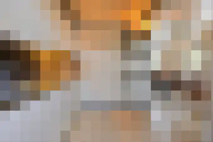 Ruusbroecgaarde 153 Oss thumbnail 12