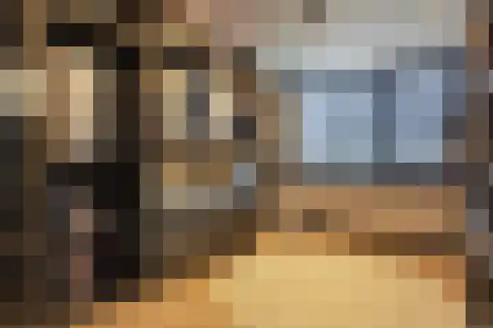 Ruusbroecgaarde 153 Oss thumbnail 16