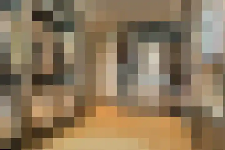 Ruusbroecgaarde 153 Oss thumbnail 17
