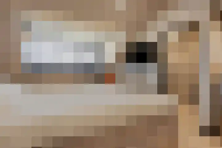 Ruusbroecgaarde 153 Oss thumbnail 24