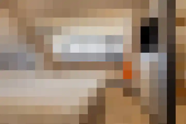 Ruusbroecgaarde 153 Oss thumbnail 25