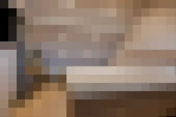 Ruusbroecgaarde 153 Oss thumbnail 26