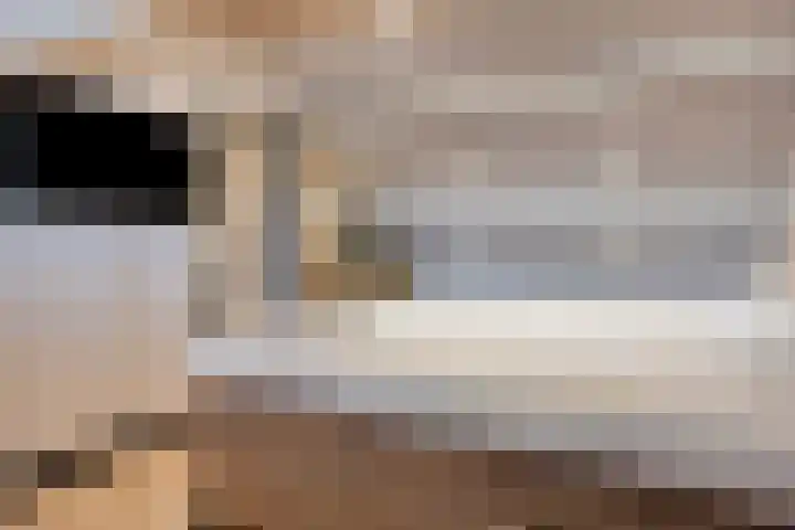 Ruusbroecgaarde 153 Oss thumbnail 27