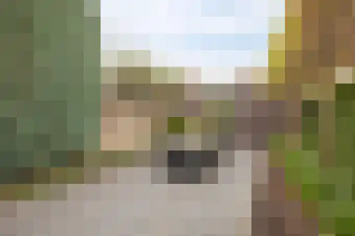 Ruusbroecgaarde 153 Oss thumbnail 30