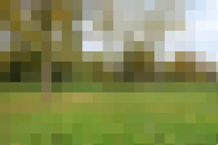 Ruusbroecgaarde 153 Oss thumbnail 35