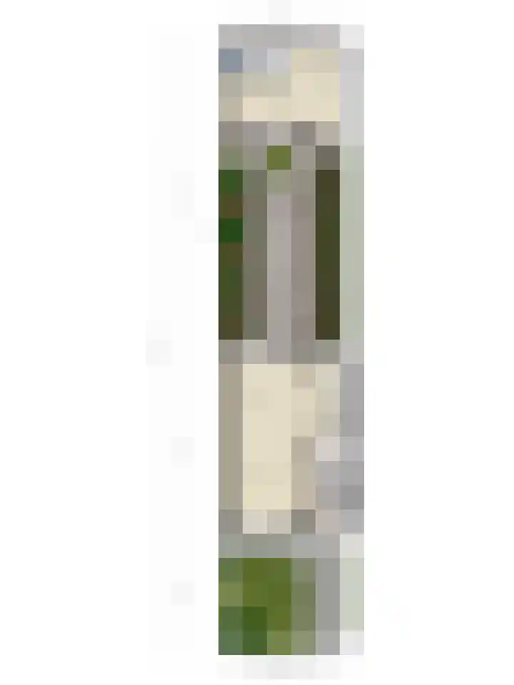 Ruusbroecgaarde 153 Oss thumbnail 36