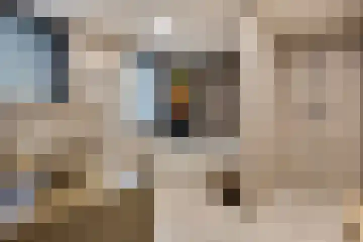 Ruusbroecgaarde 153 Oss thumbnail 5