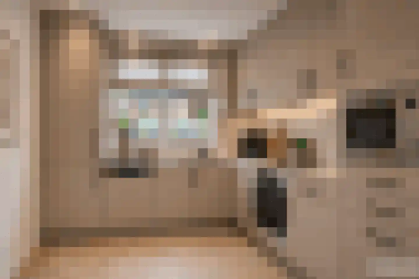 Ruusbroecgaarde 185 Oss thumbnail 20