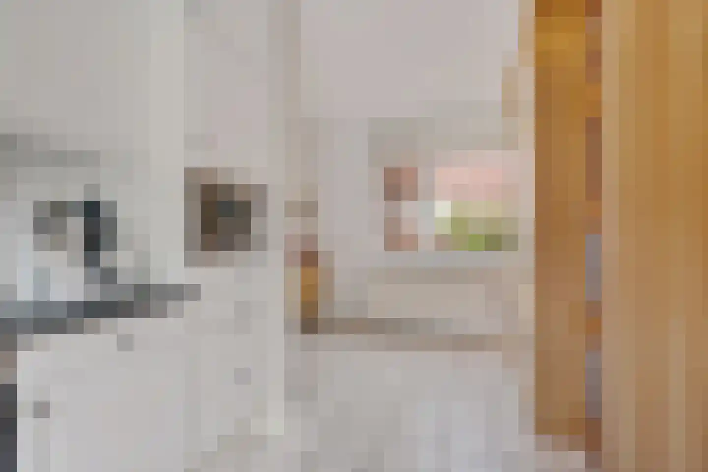 Ruusbroecgaarde 185 Oss thumbnail 21