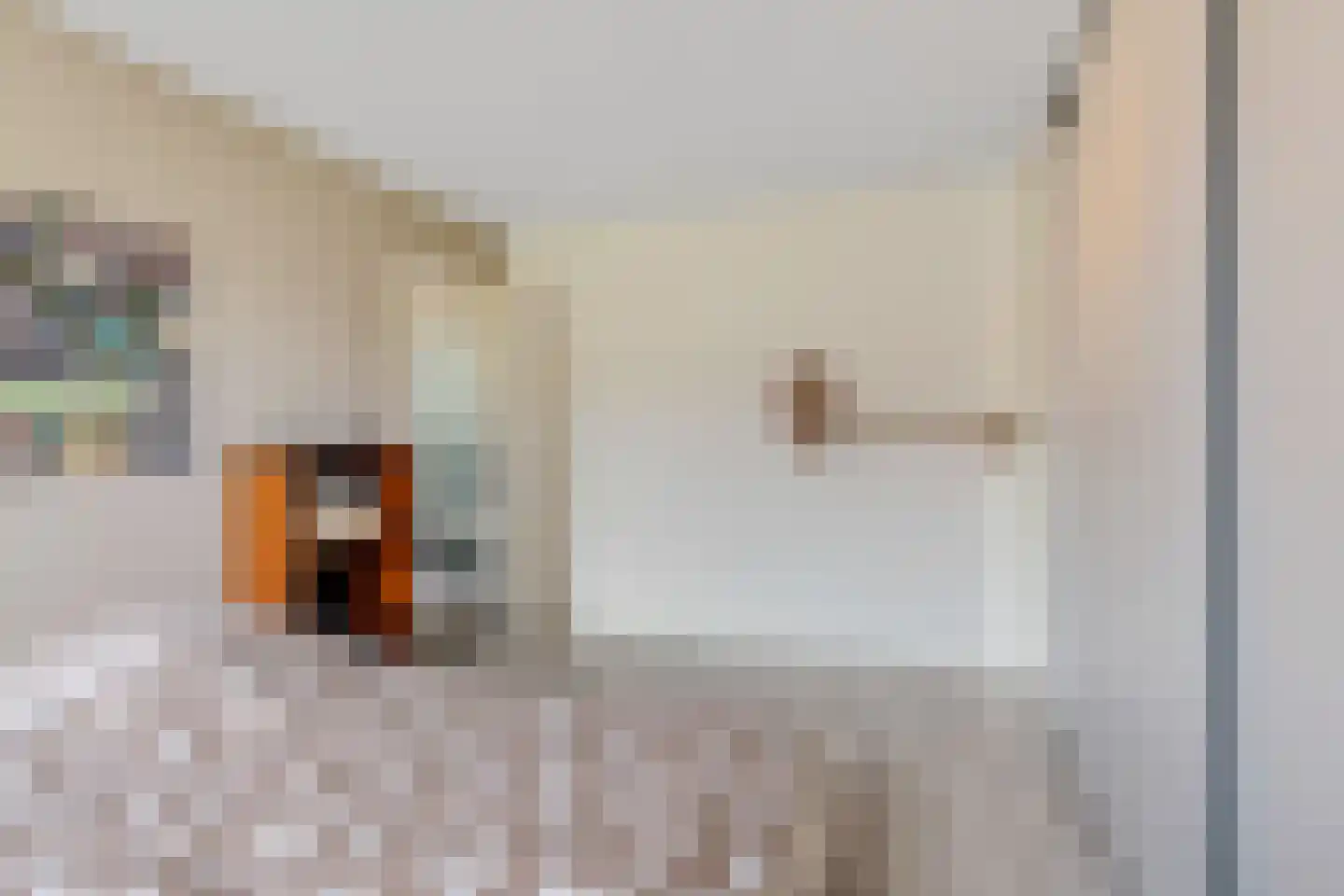 Ruusbroecgaarde 185 Oss thumbnail 34