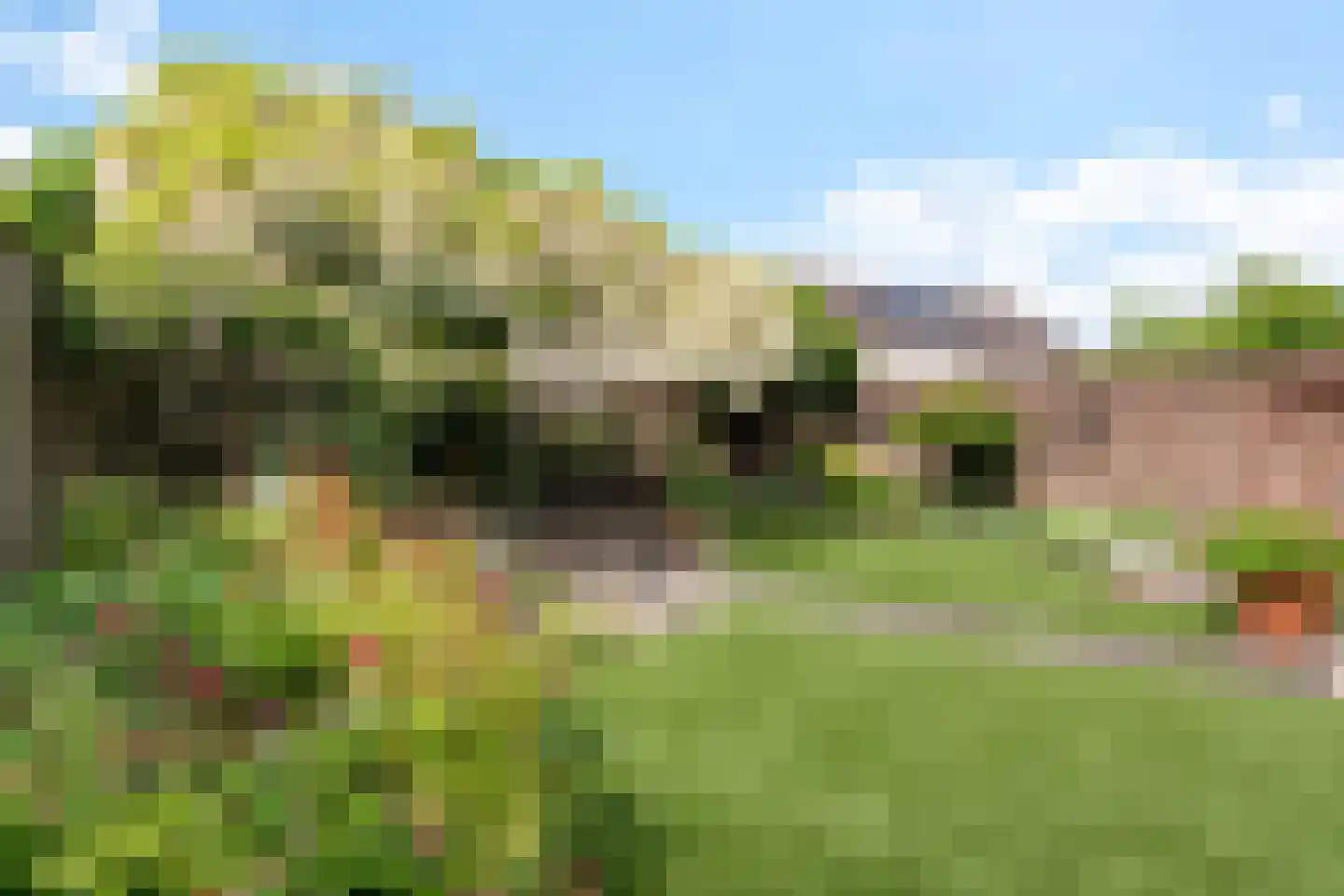 Ruusbroecgaarde 185 Oss thumbnail 44