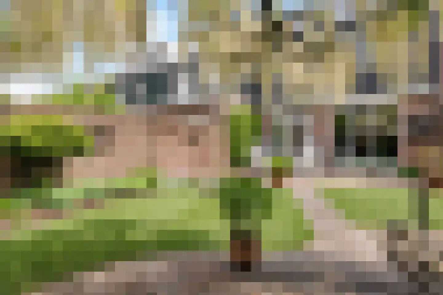 Ruusbroecgaarde 185 Oss thumbnail 45
