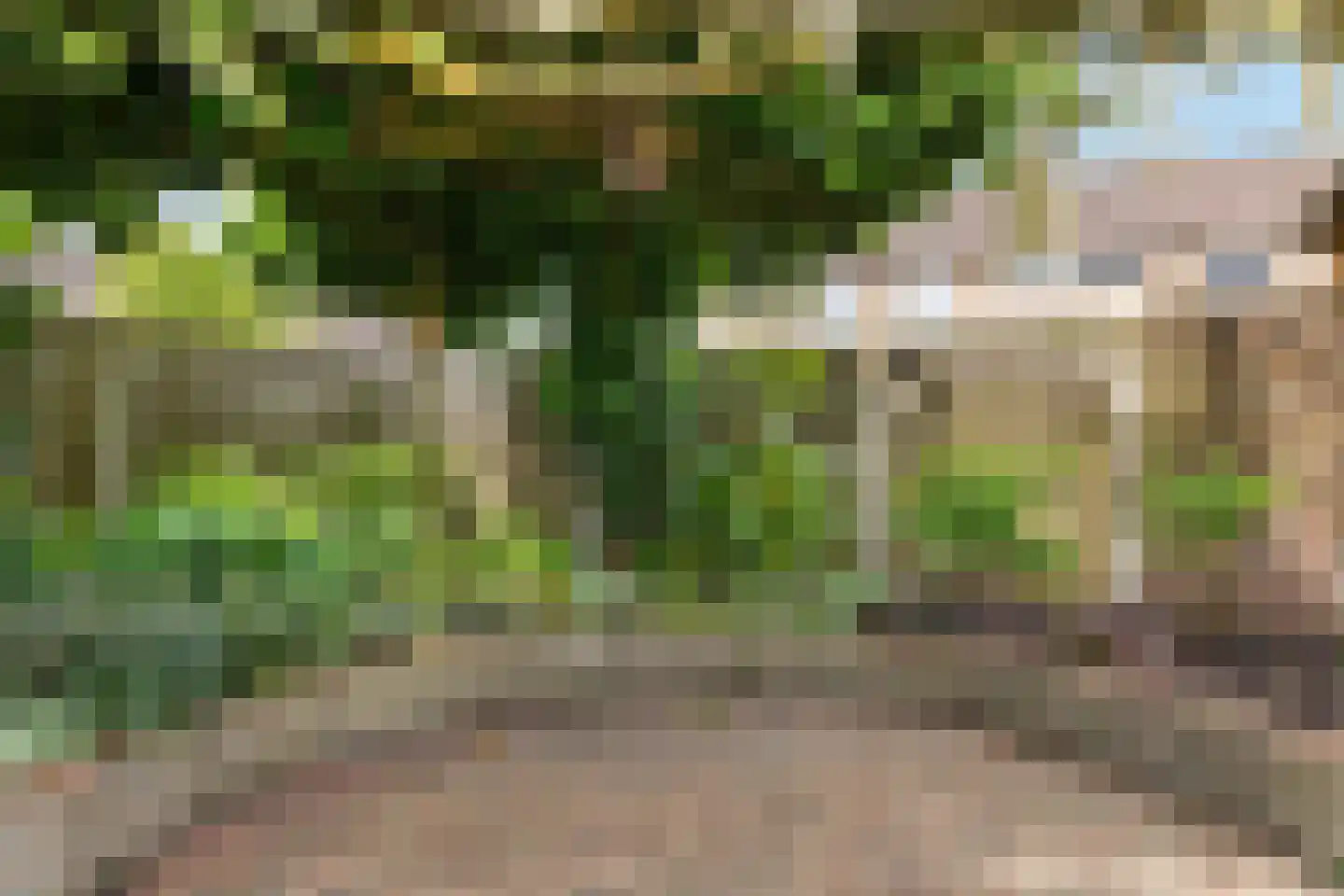 Ruusbroecgaarde 185 Oss thumbnail 46