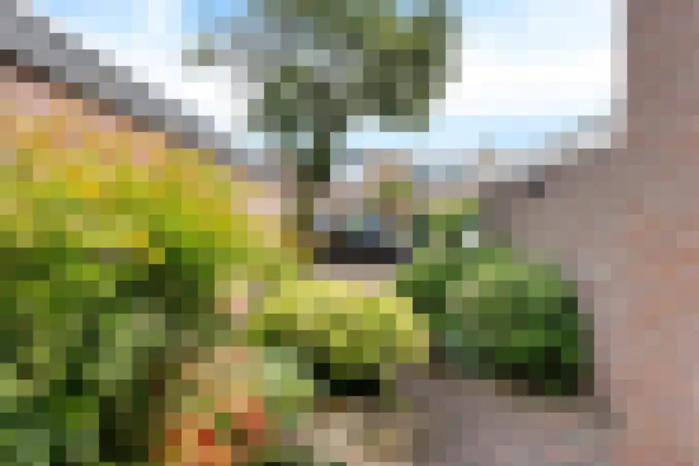 Ruusbroecgaarde 185 Oss thumbnail 7