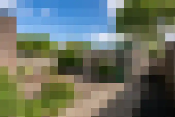 Ruusbroecgaarde 191 Oss thumbnail 21