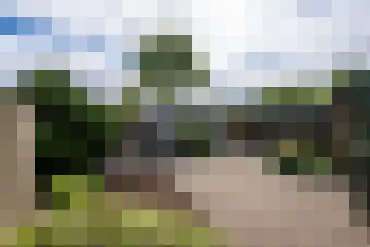 Ruusbroecgaarde 191 Oss thumbnail 23