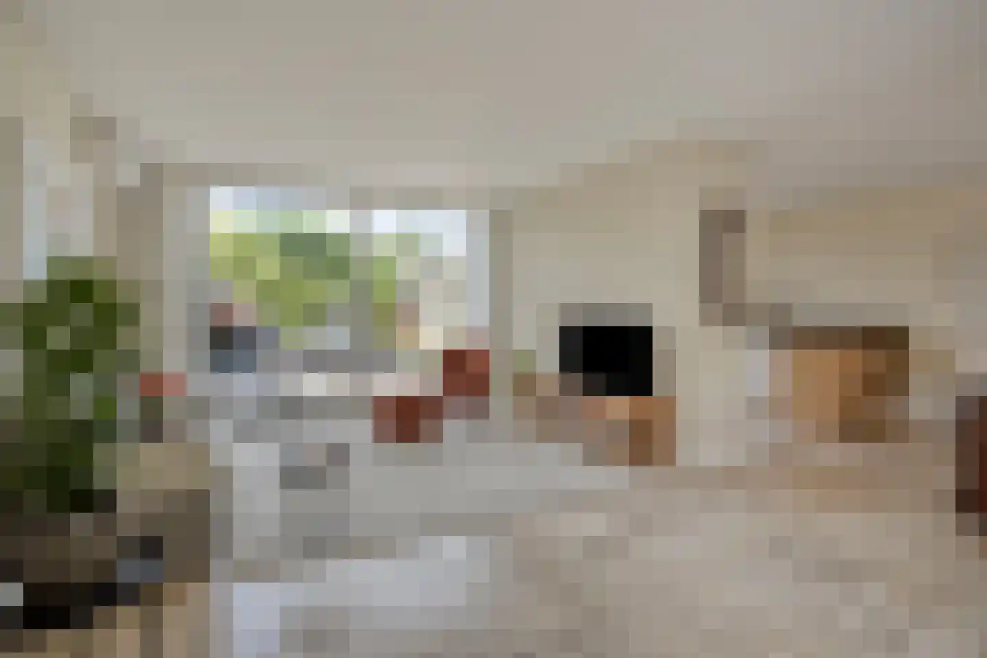 Ruusbroecgaarde 51 Oss thumbnail 10